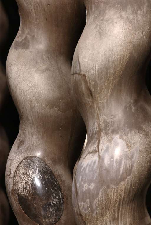 Palacio de los Señores de Ansoti. Granada [serie “Cuerpos salomónicos”]. 2008