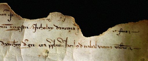 Nombramiento del maestro Nicolás de Ancona como obrero mayor de la catedral de Valencia. 1304. 2007